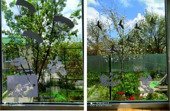 �����������